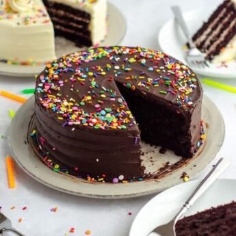  Chocolate Sprinkle Cake Recipe
