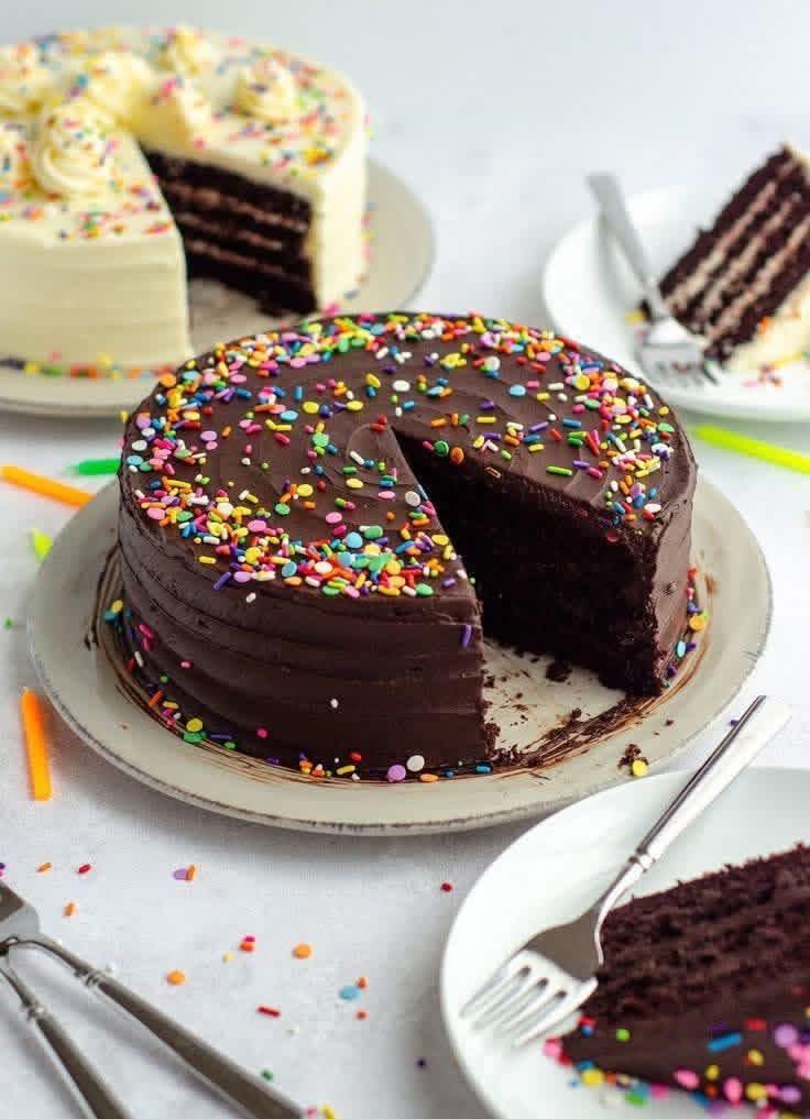  Chocolate Sprinkle Cake Recipe